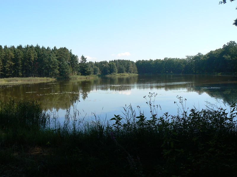 img00130.jpg