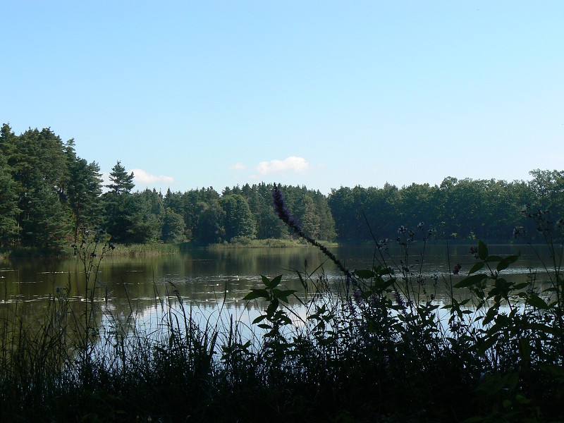 img00131.jpg