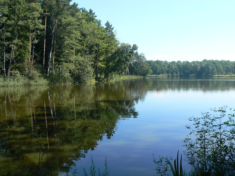 img00133.jpg
