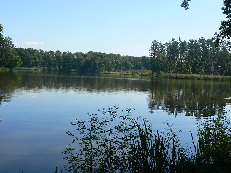 img00134.jpg