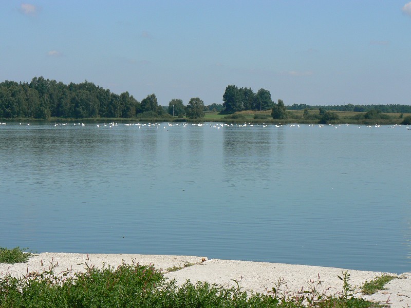 img00135.jpg