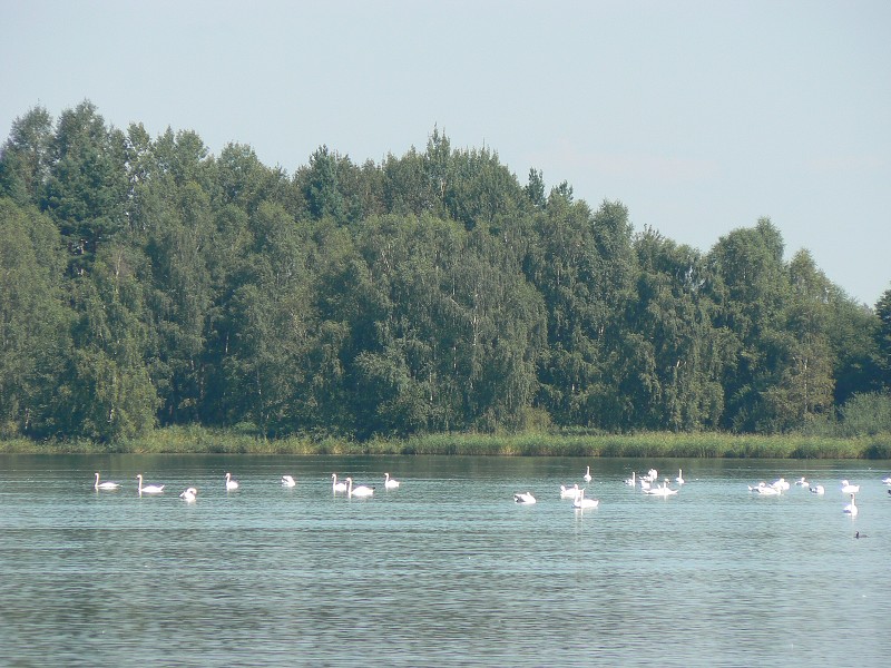 img00136.jpg