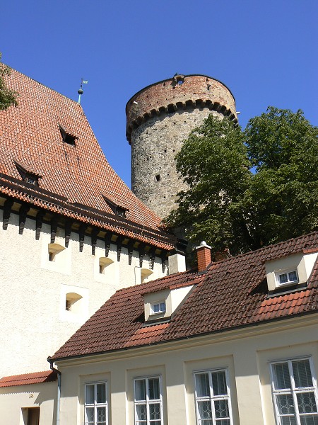 img00145.jpg