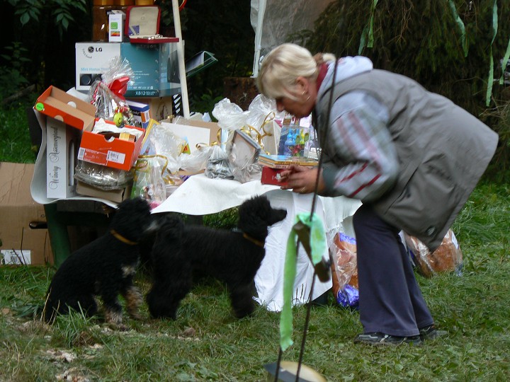 img00137.jpg