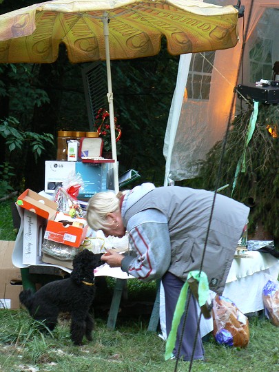 img00138.jpg