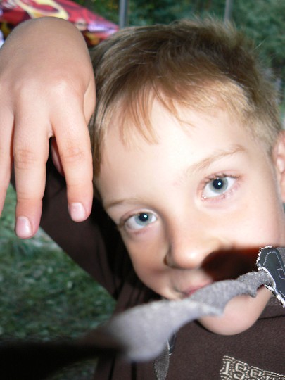 img00139.jpg