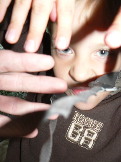 img00141.jpg