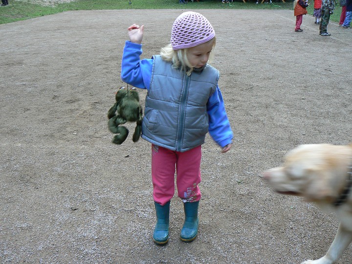 img00145.jpg