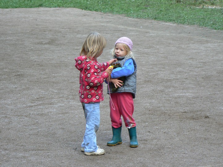 img00146.jpg