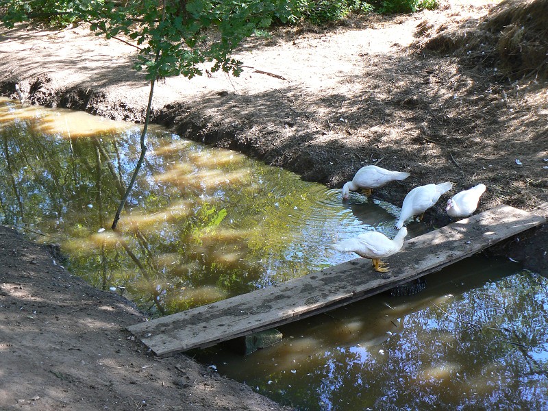 img00127.jpg