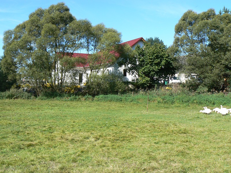 img00131.jpg