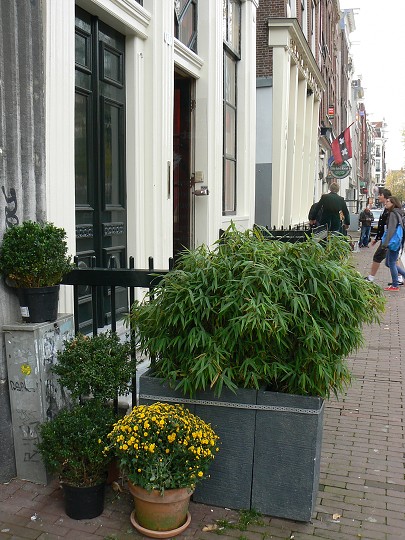 img00061.jpg