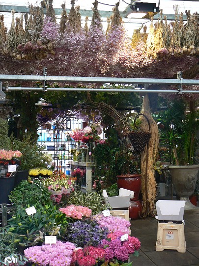 img00099.jpg