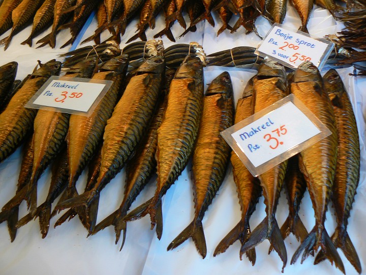 img00264.jpg