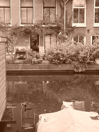 img00269.jpg
