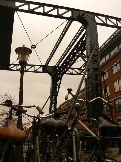 img00271.jpg