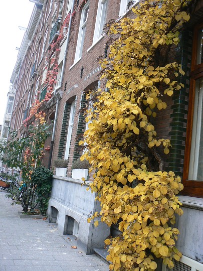 img00280.jpg