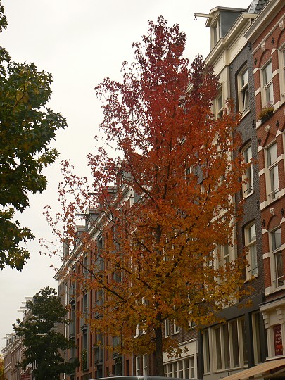 img00281.jpg