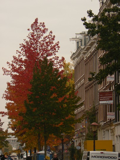 img00282.jpg