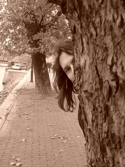img00295.jpg