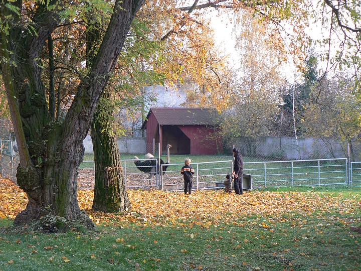 img00099.jpg