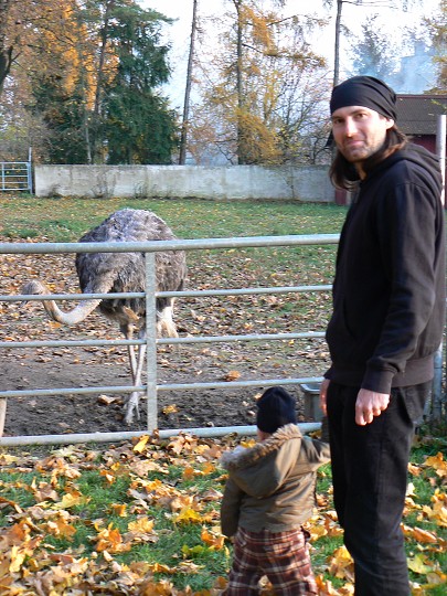 img00101.jpg