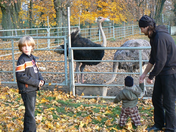 img00103.jpg