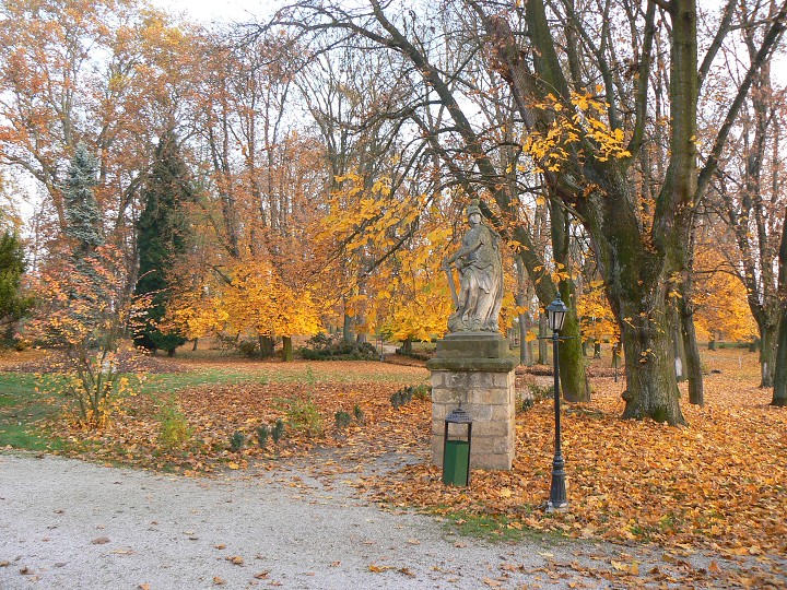 img00109.jpg