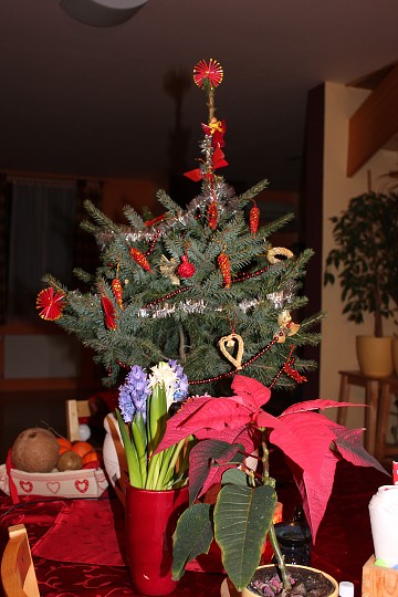 img00055.jpg