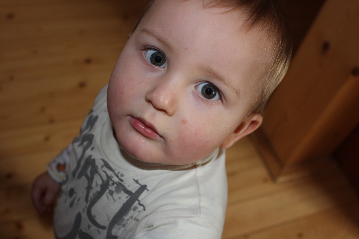 img00105.jpg