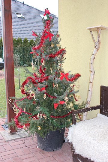 img00106.jpg