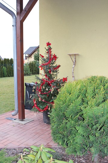 img00107.jpg