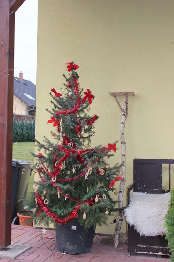 img00108.jpg