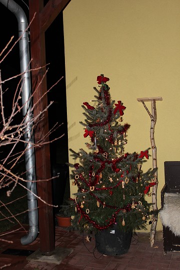 img00109.jpg