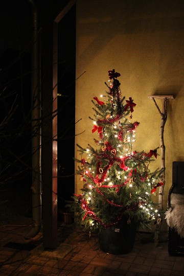 img00110.jpg